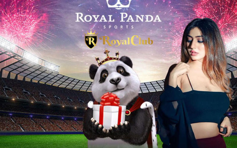 Royal-Panda-Casino–The-Best-Online-Platform-with-Real-Money.png